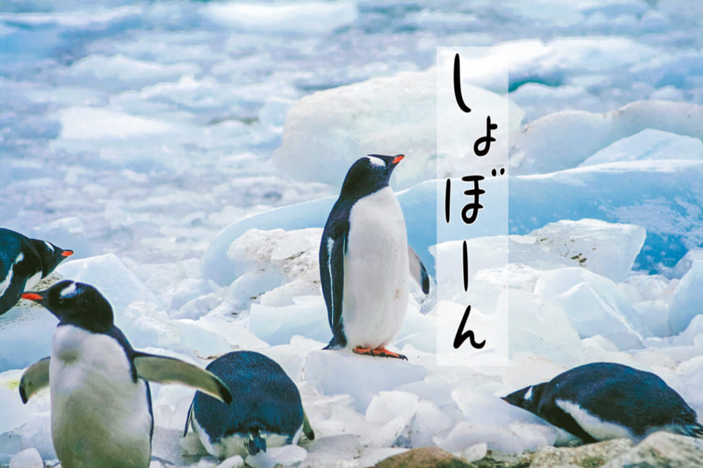 わくわく 夢